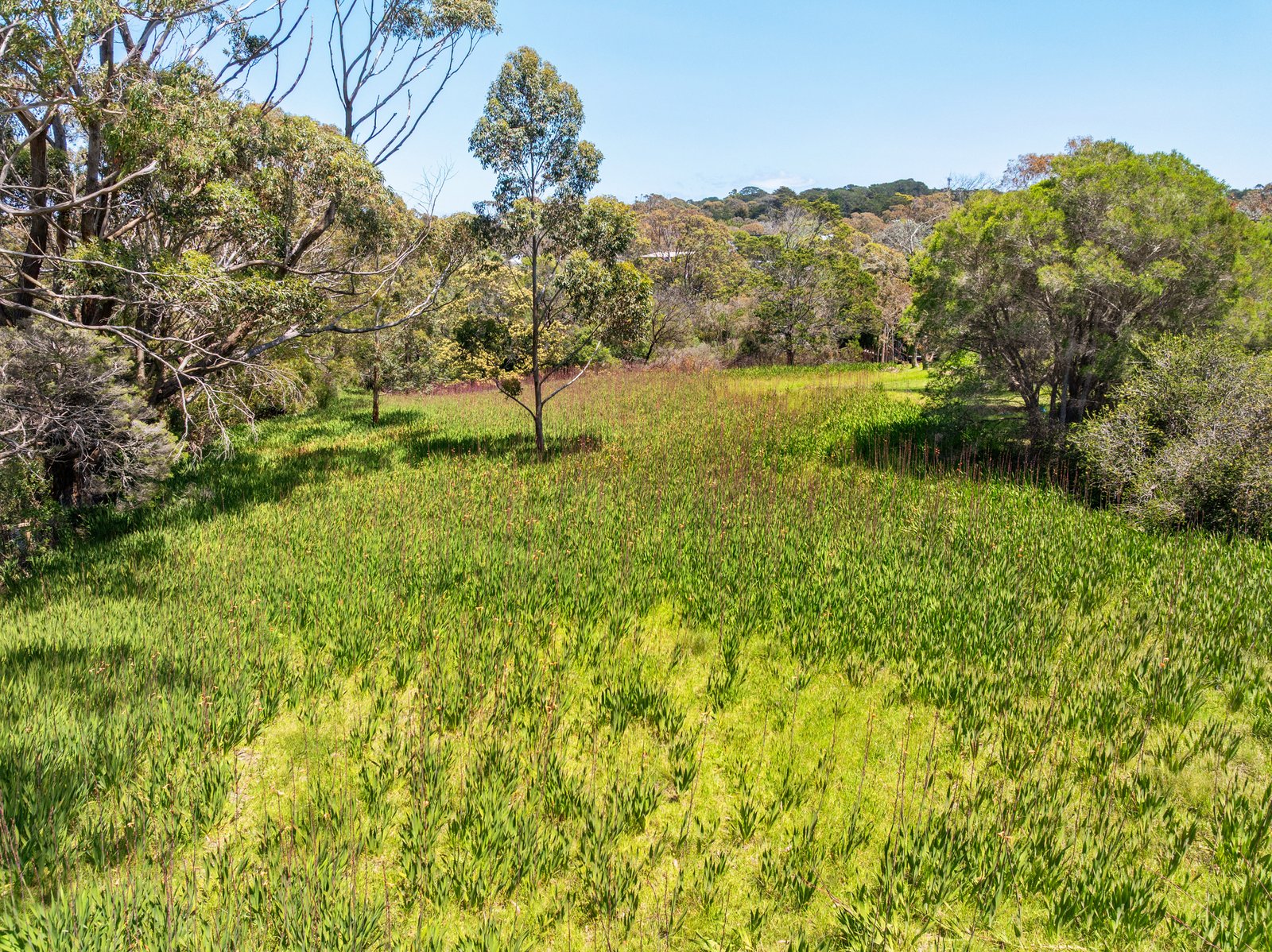 Gallery: 26 Rest Drive