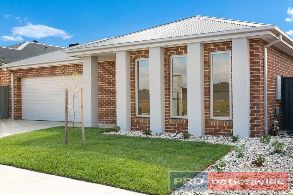 26 Roscommon Avenue ALFREDTON 1