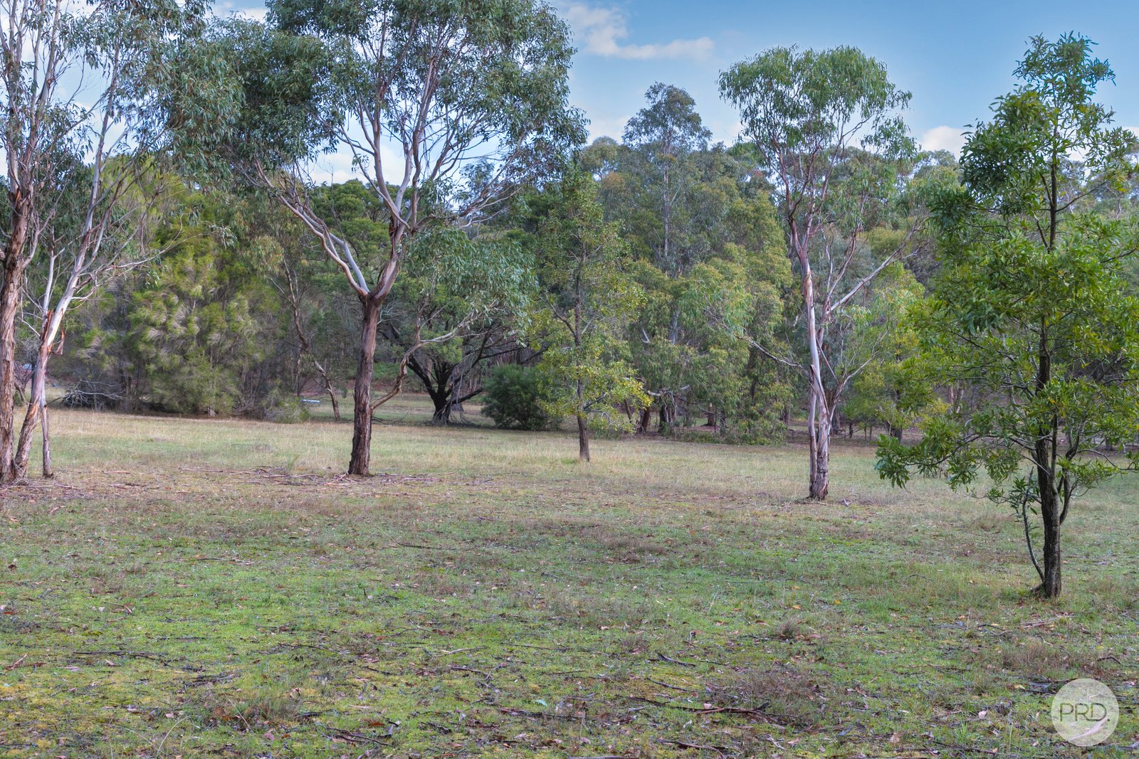 26 Rowlers Road SNAKE VALLEY 12