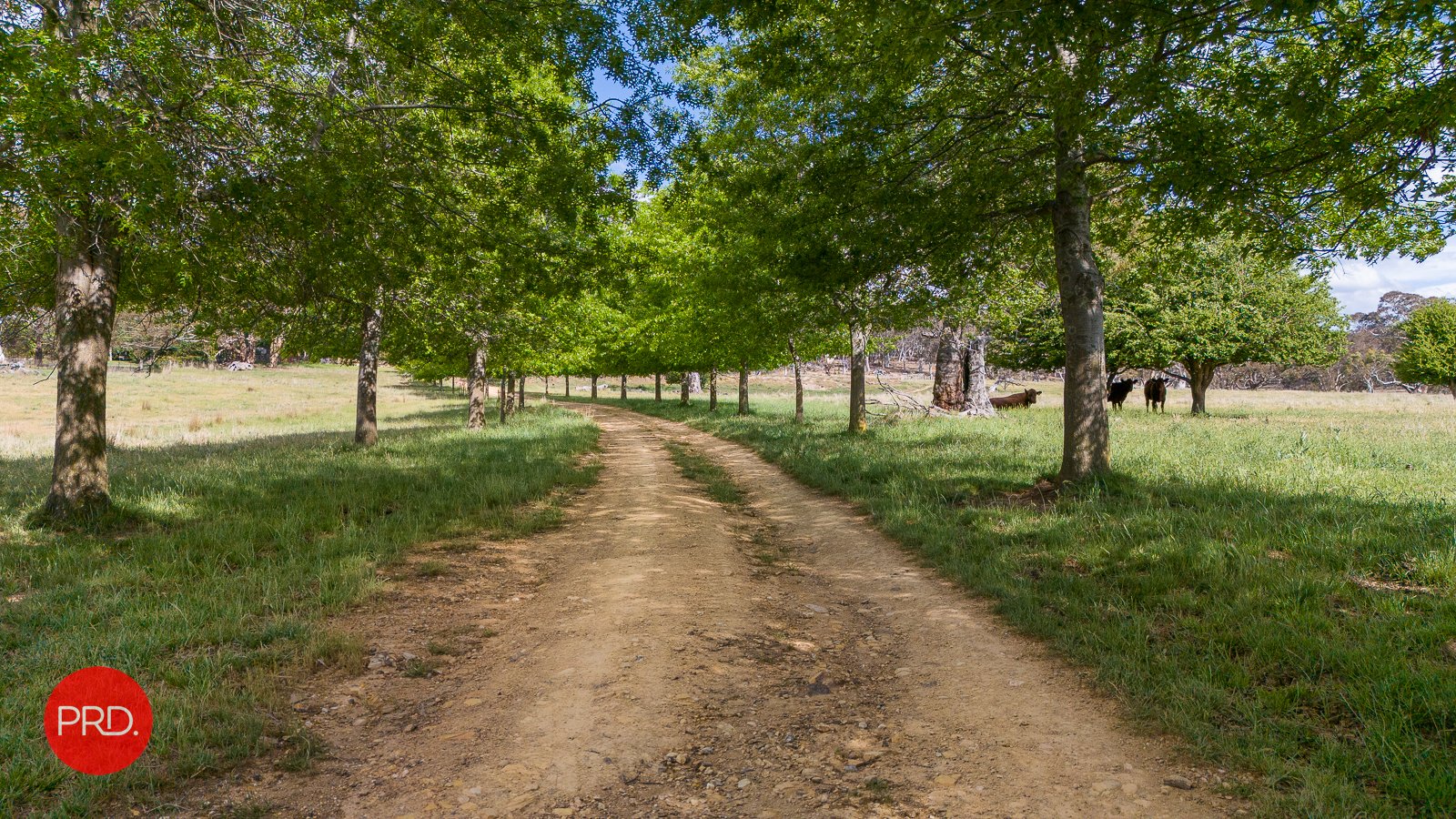 26 Sugarloaf Ridge Road PRIMROSE VALLEY 10