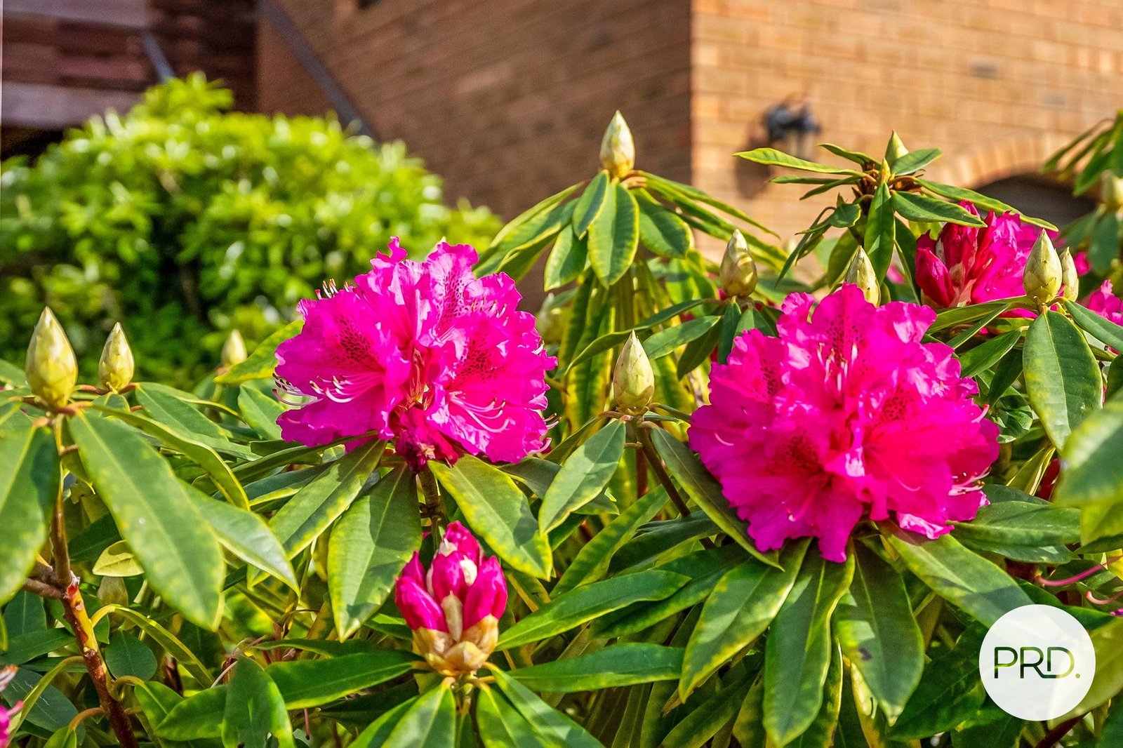 26 Third Avenue MIDWAY POINT 19