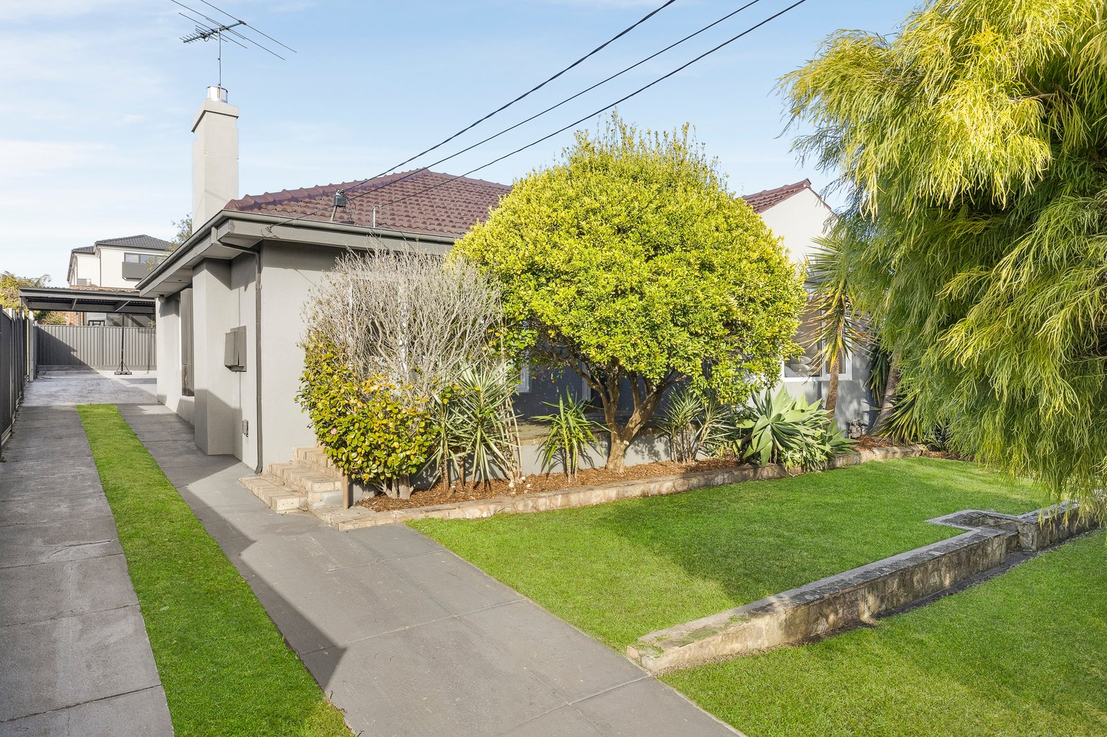 Gallery: 26 Thomas Street
