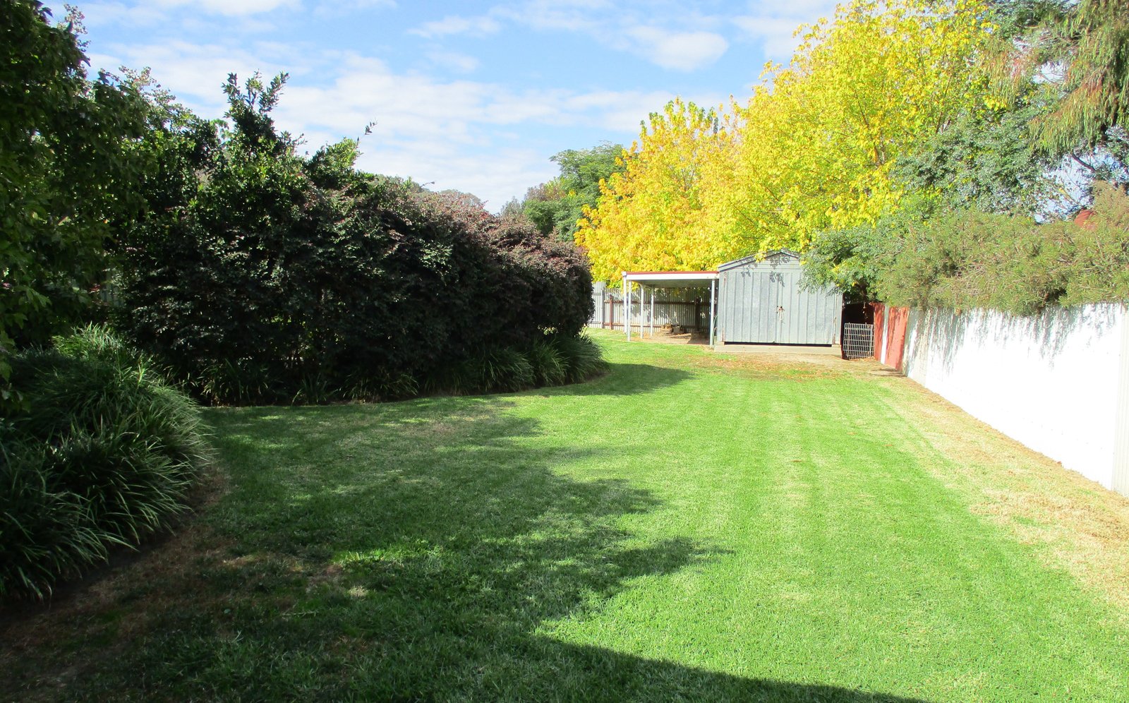 26 Tumut Street TUMUT 11