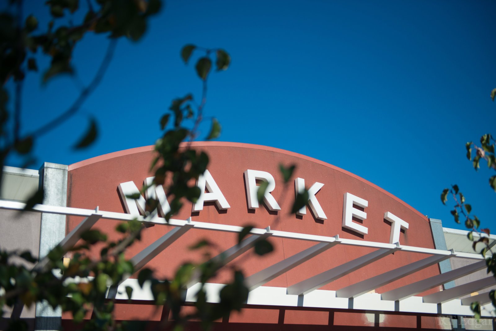 Real Estate and Property in 26 Victoria Road, Camberwell, VIC