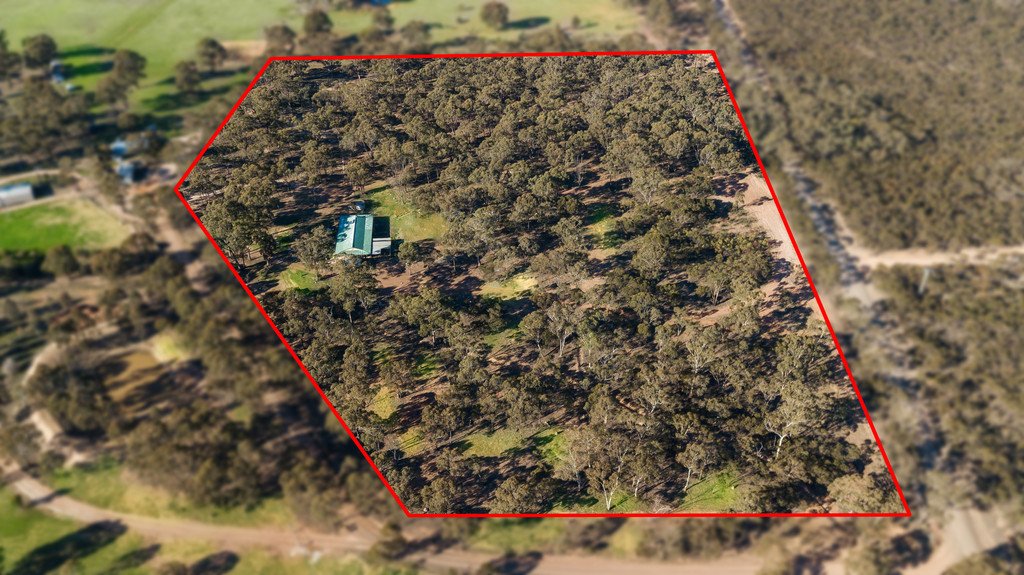 26 Wattle Grove NEILBOROUGH 10