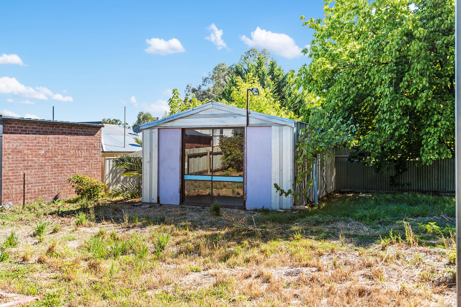 26 Webster Street IRONBARK 13