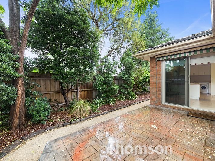 Gallery: 2/6 Wedd Street