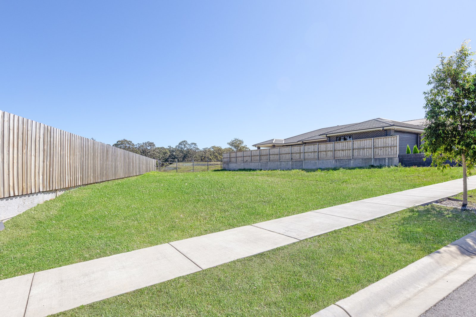 26 Wexford Street CHISHOLM 5