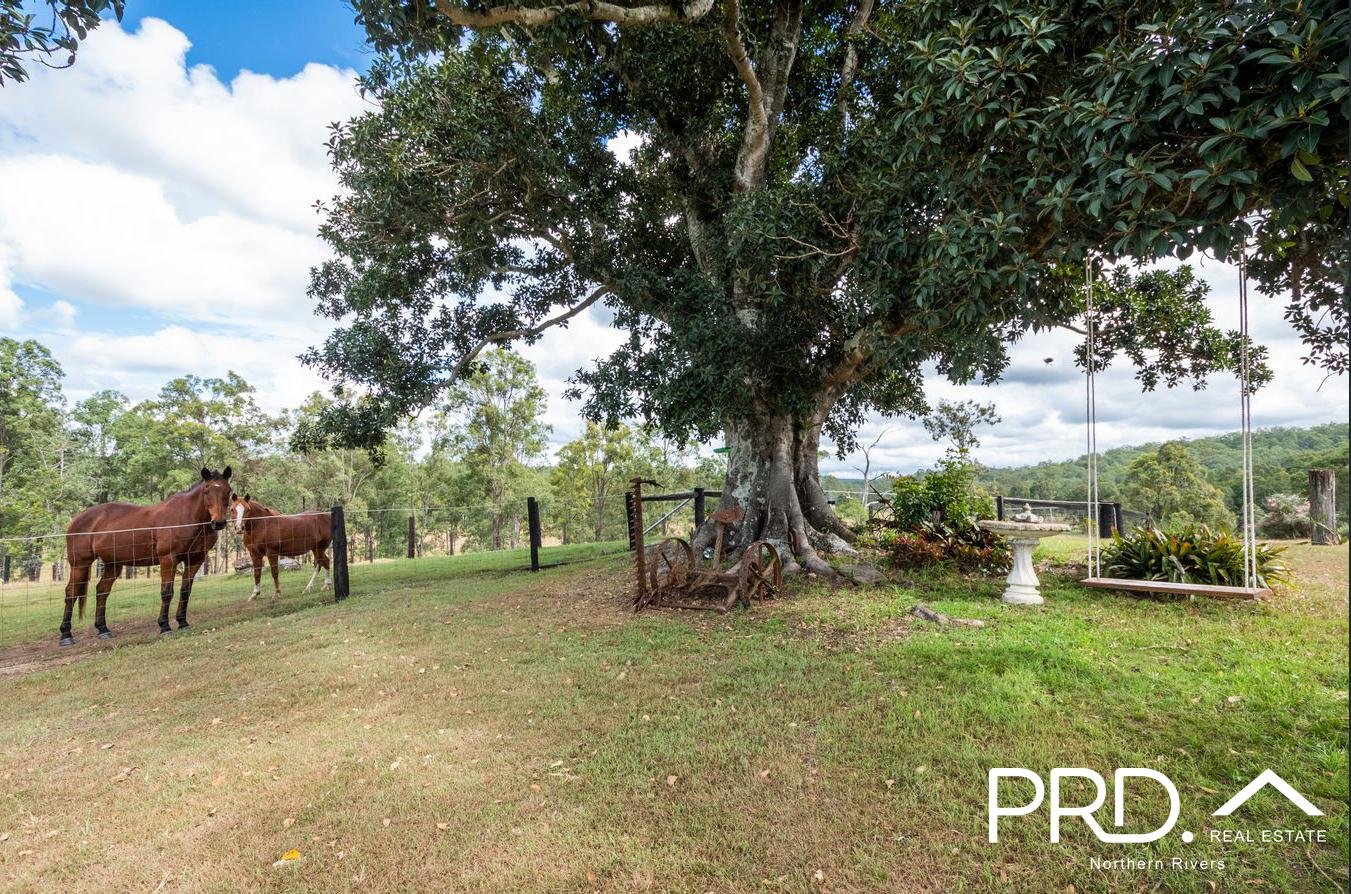 260 Ainsworth Road MONGOGARIE 11