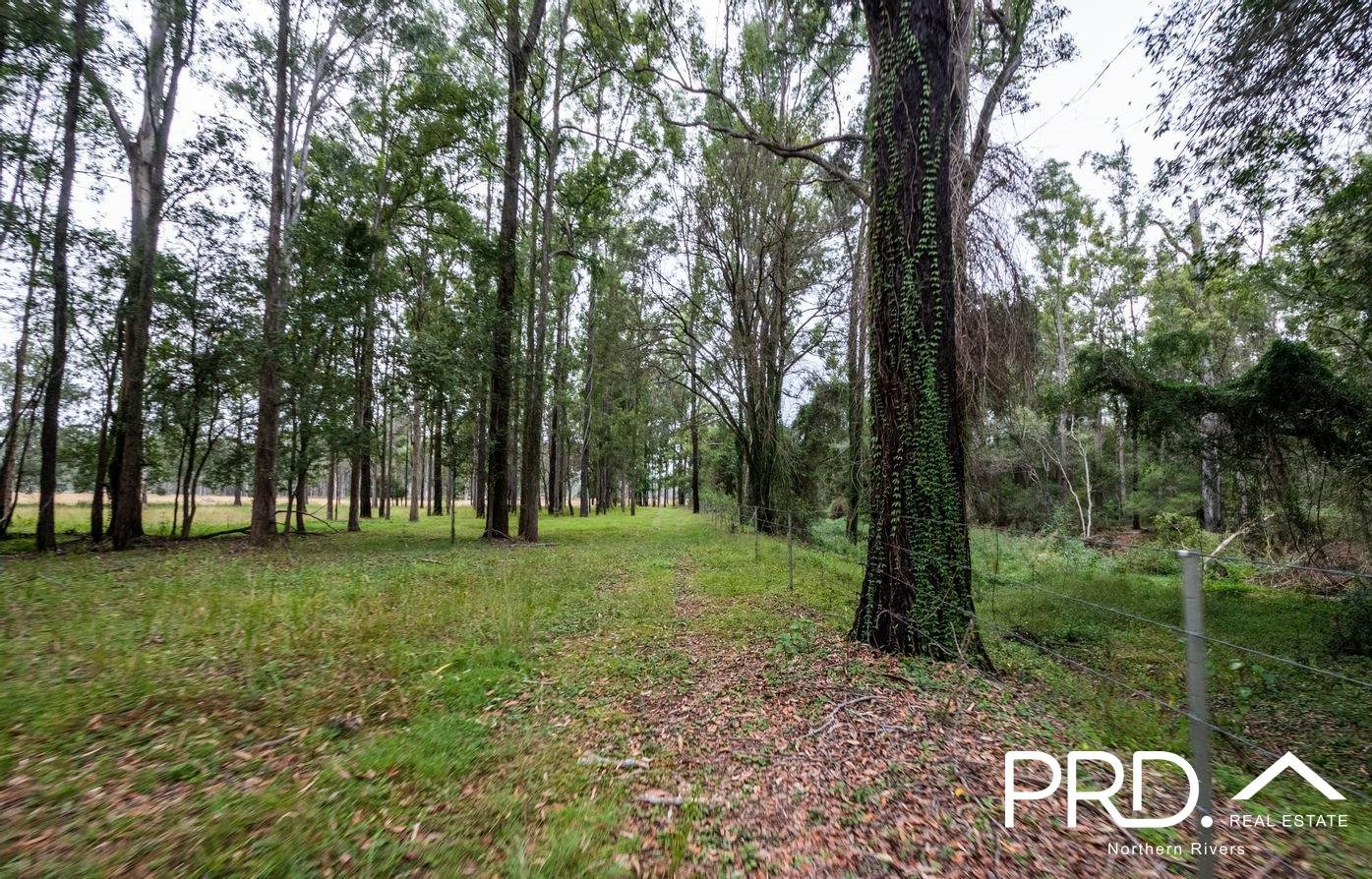 260 Ainsworth Road MONGOGARIE 16