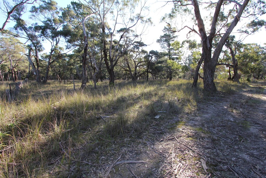 260 Browns Road DEREEL 1