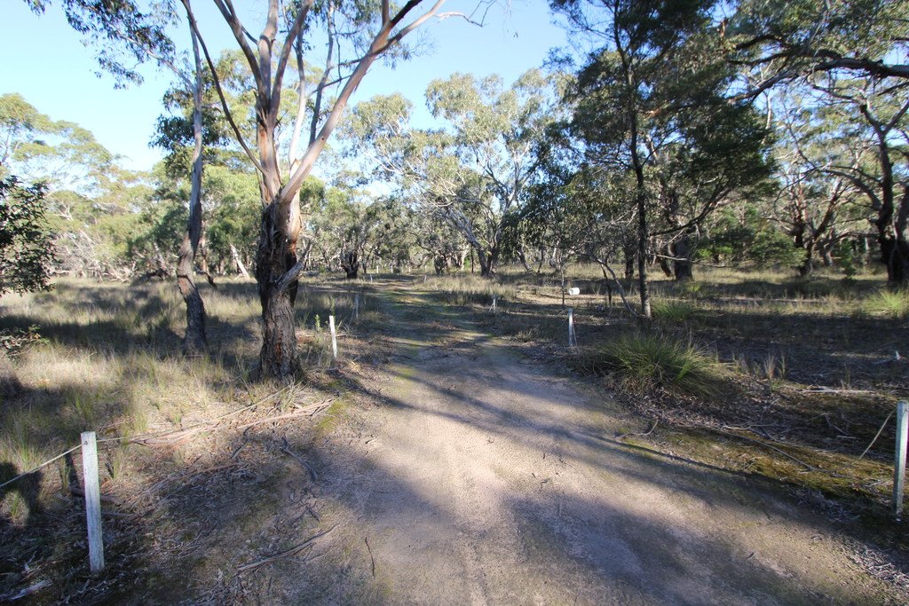 260 Browns Road DEREEL 4