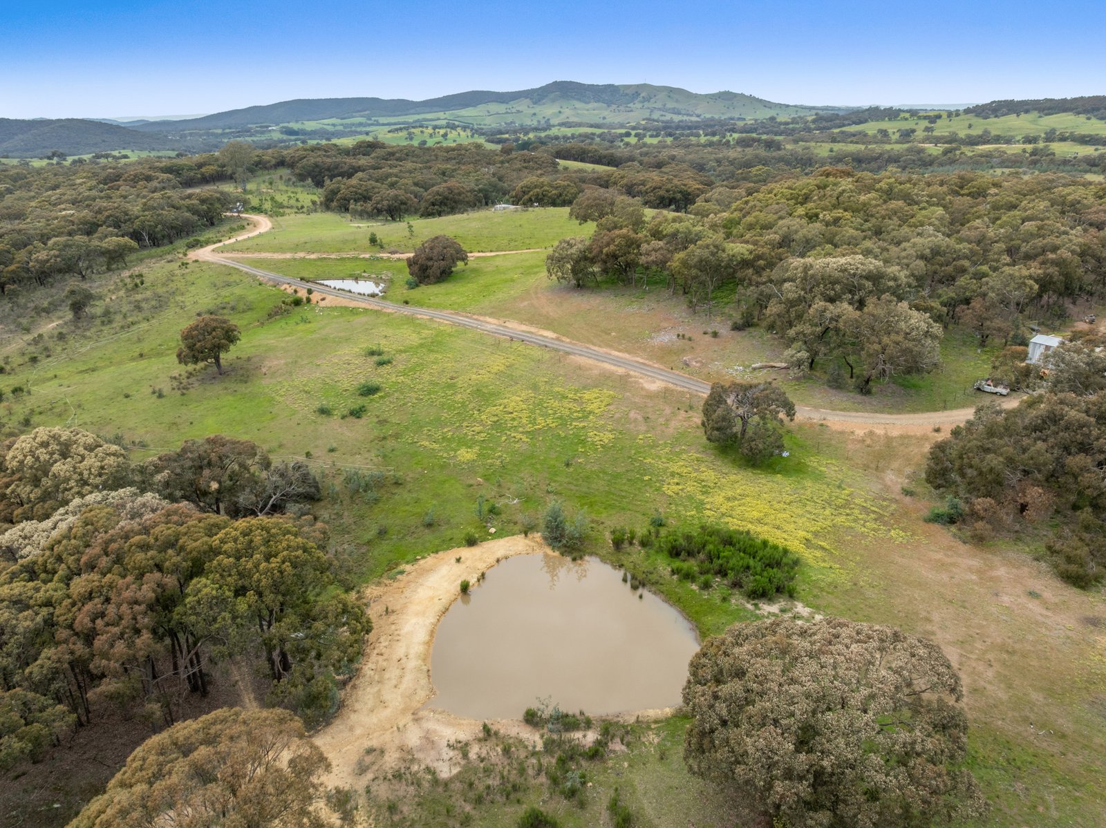 Gallery: 260 Hardings Lane