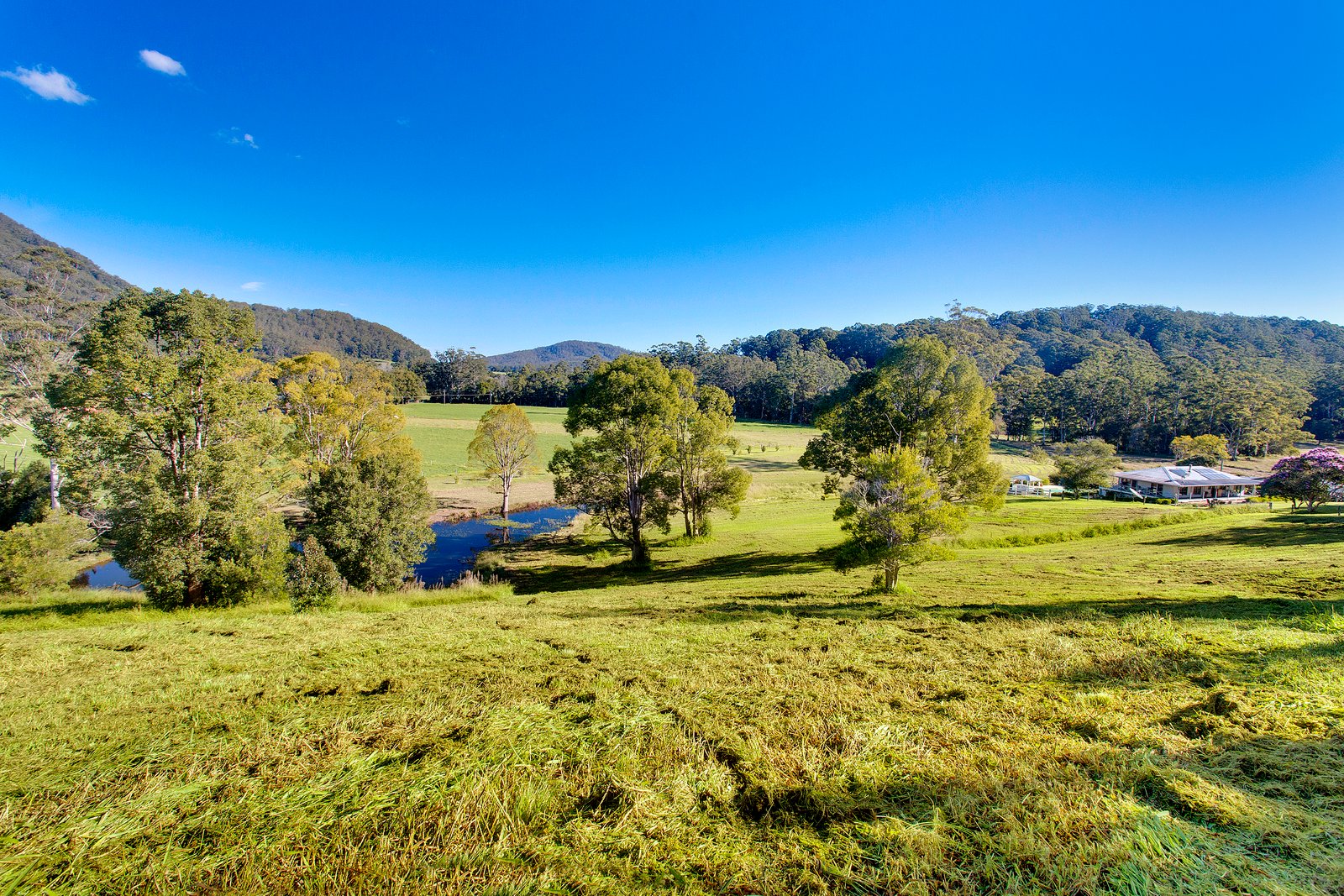 260 Isaacs Lane JOHNS RIVER 4