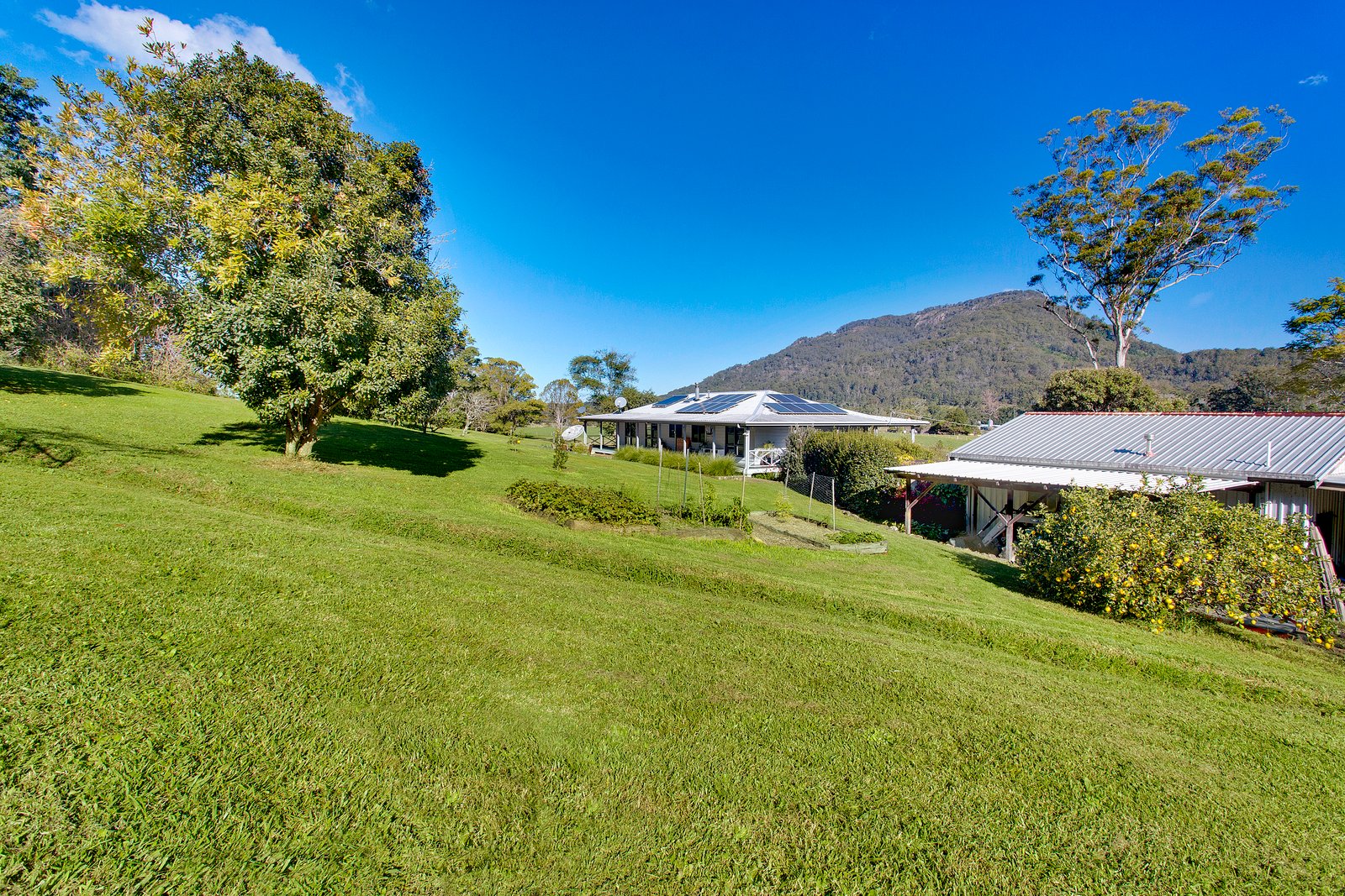 260 Isaacs Lane JOHNS RIVER 16