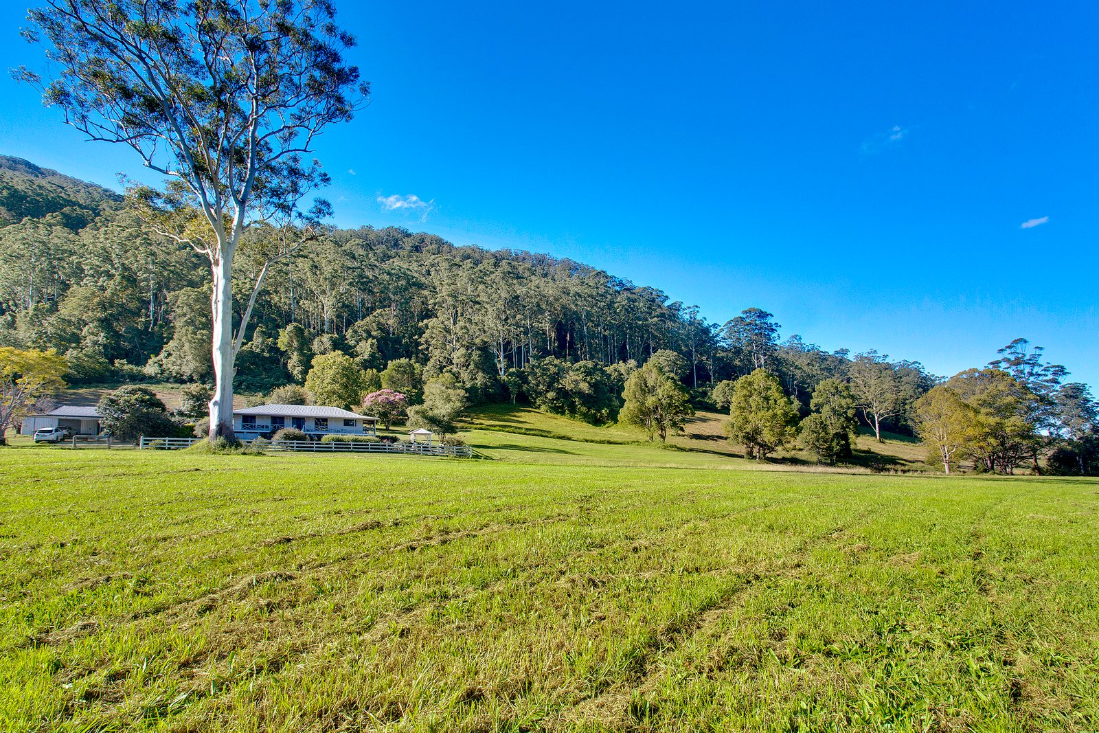 260 Isaacs Lane JOHNS RIVER 17