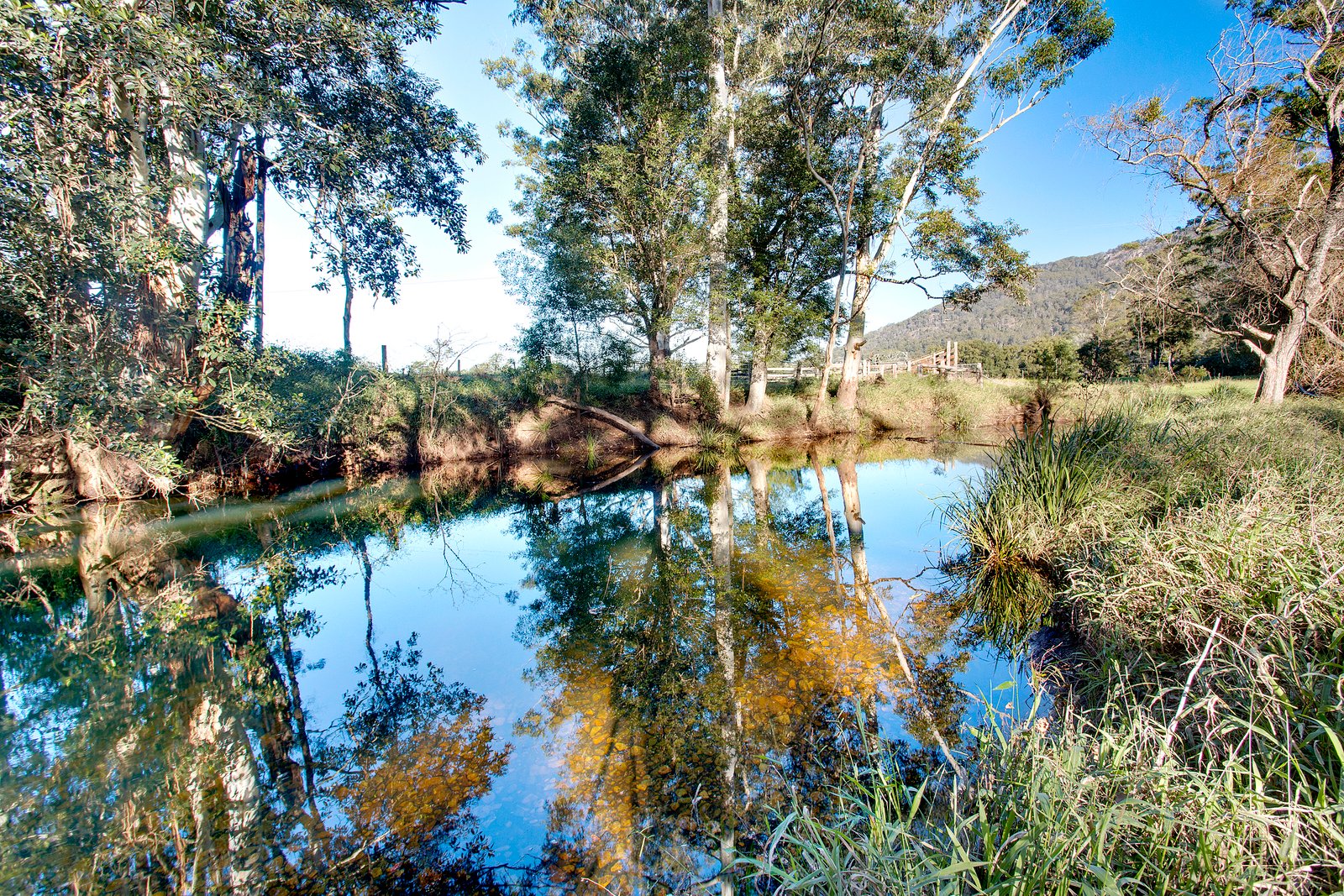 260 Isaacs Lane JOHNS RIVER 18