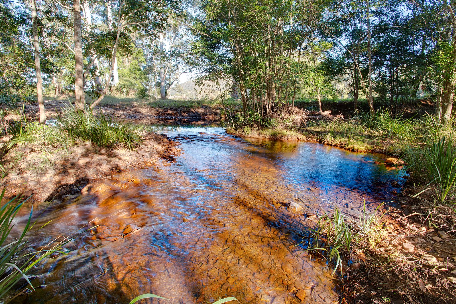 260 Isaacs Lane JOHNS RIVER 19