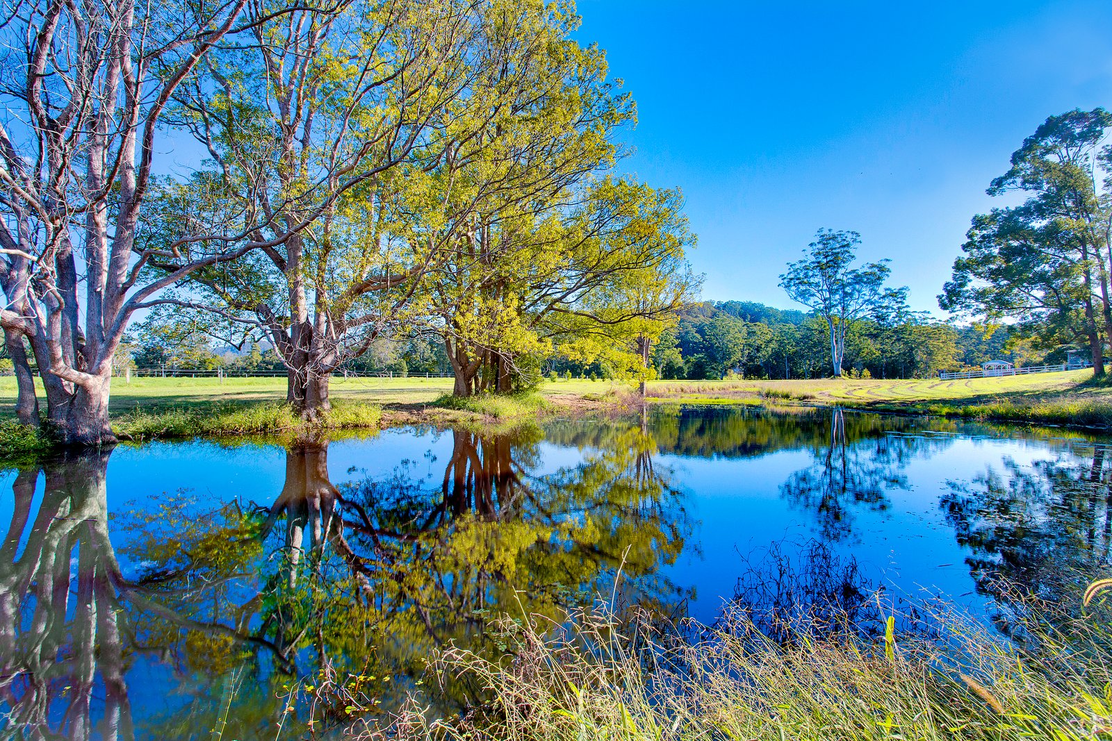 260 Isaacs Lane JOHNS RIVER 20