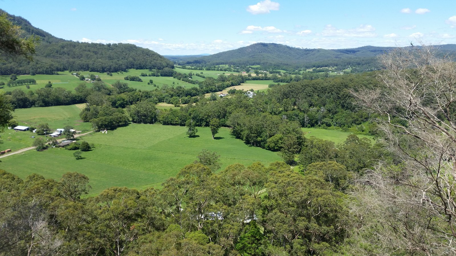 260 Isaacs Lane JOHNS RIVER 25