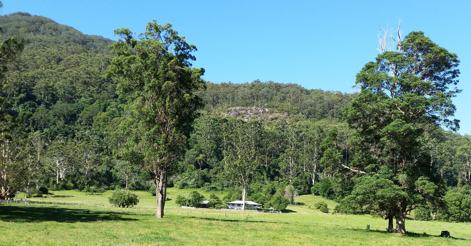 260 Isaacs Lane JOHNS RIVER 26