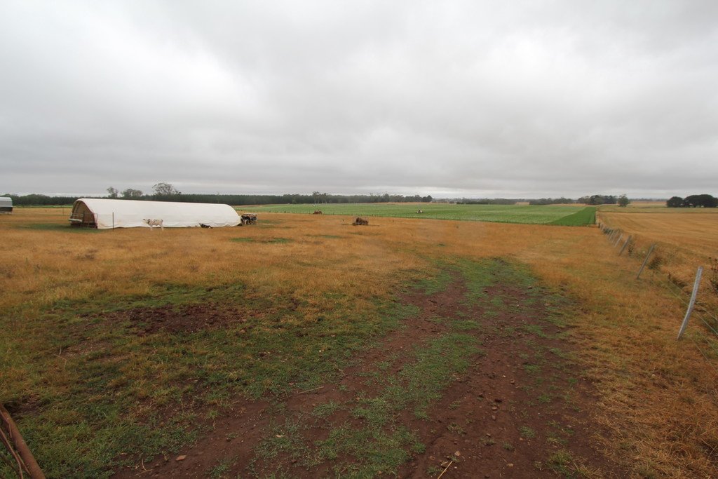 260 Powells Road CLARKES HILL 21