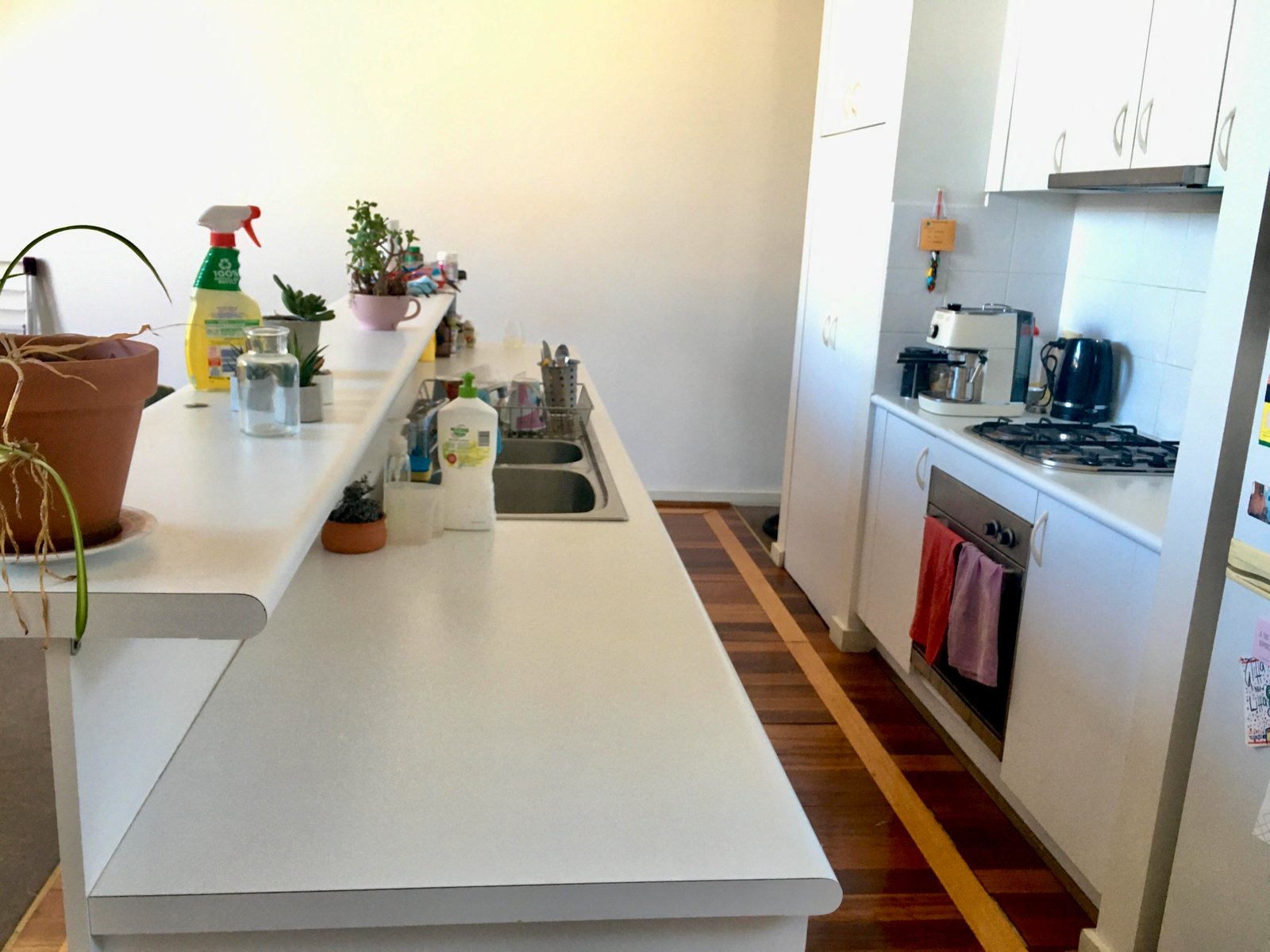 Gallery: 2/61 Castlemaine Street