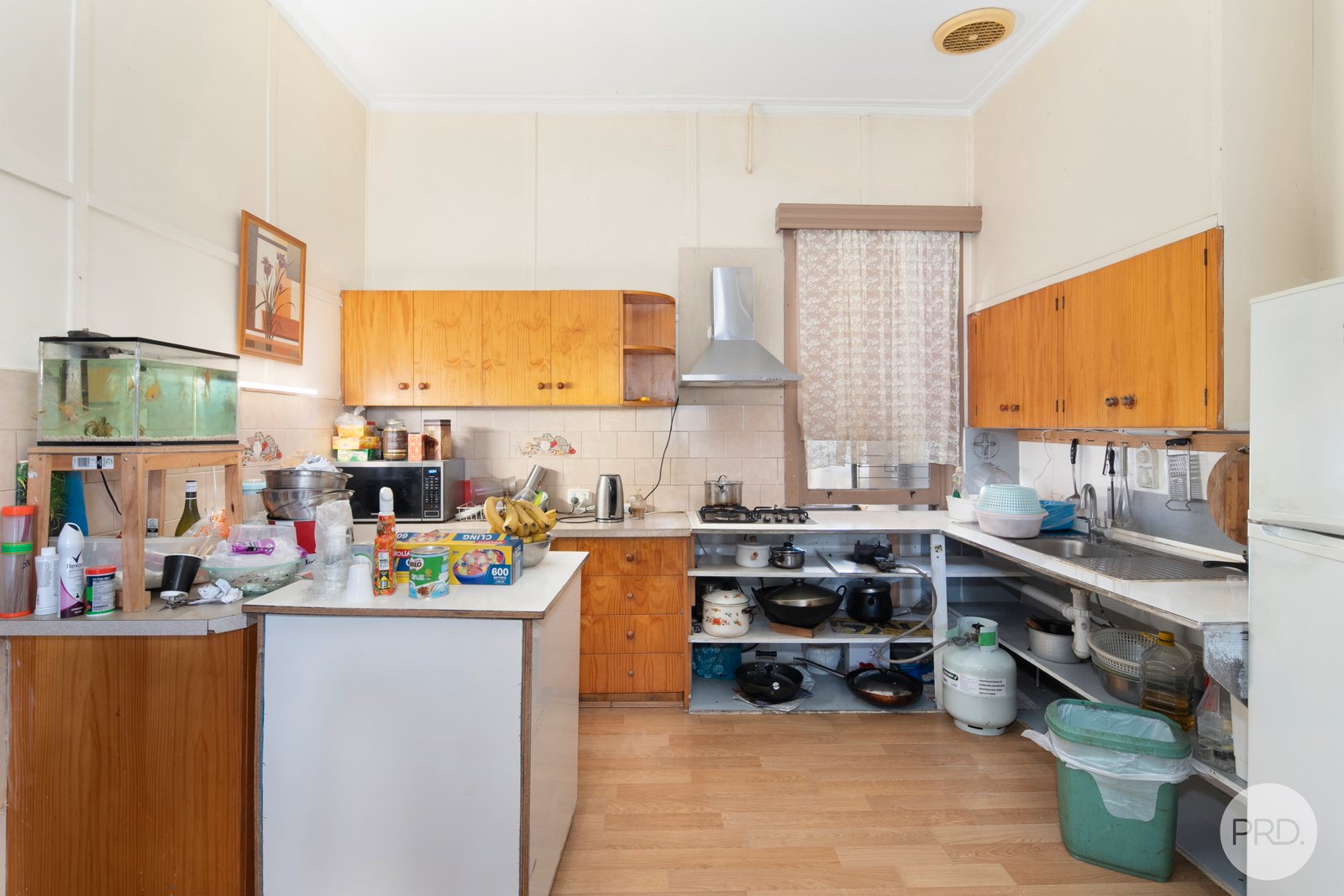 261 Joseph Street CANADIAN 5