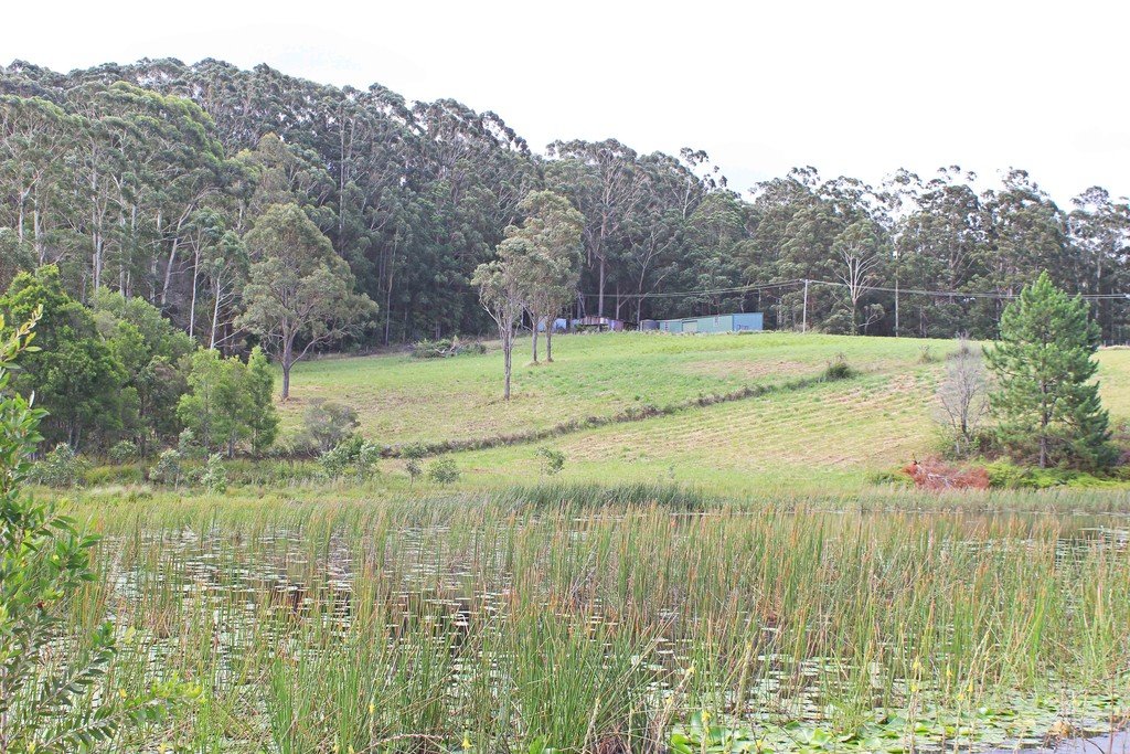 261 Riddles Brush Road JOHNS RIVER 2