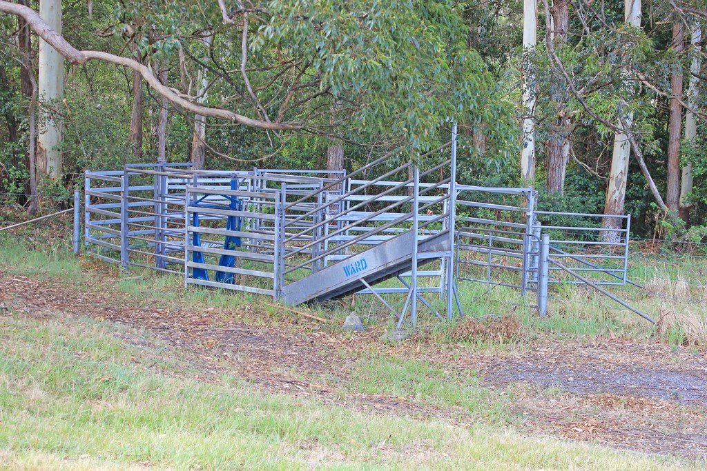 261 Riddles Brush Road JOHNS RIVER 18