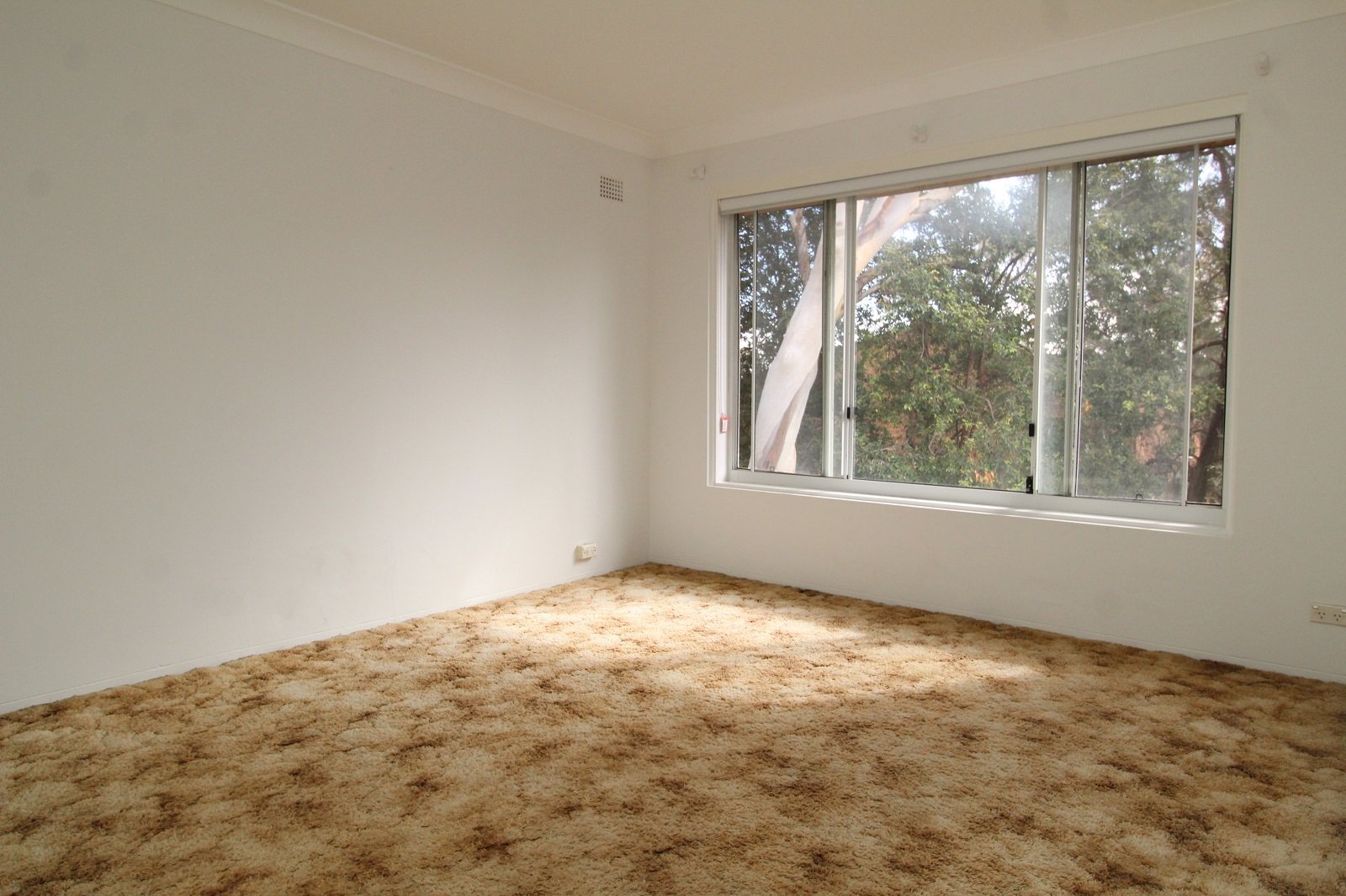 26/171 Willarong Road CARINGBAH 3