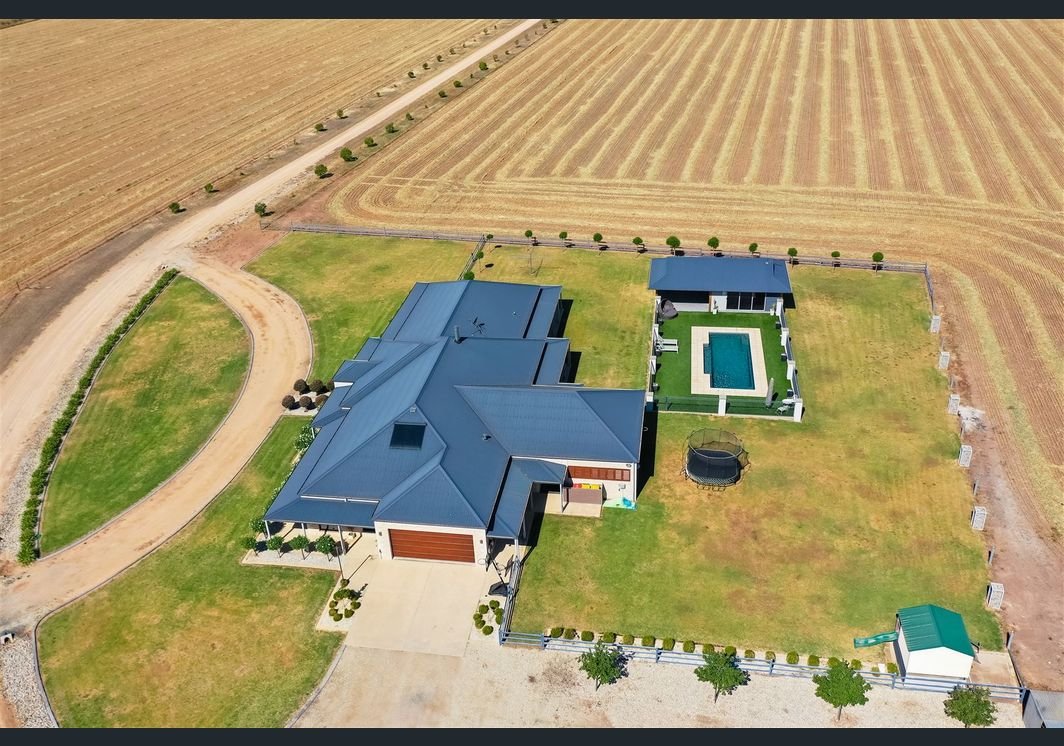 262 Henty Walla Road HENTY 1