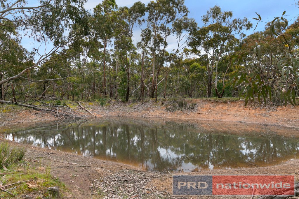 264 Browns Road DEREEL 3