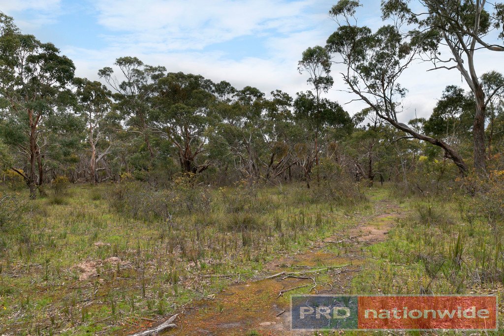 264 Browns Road DEREEL 4