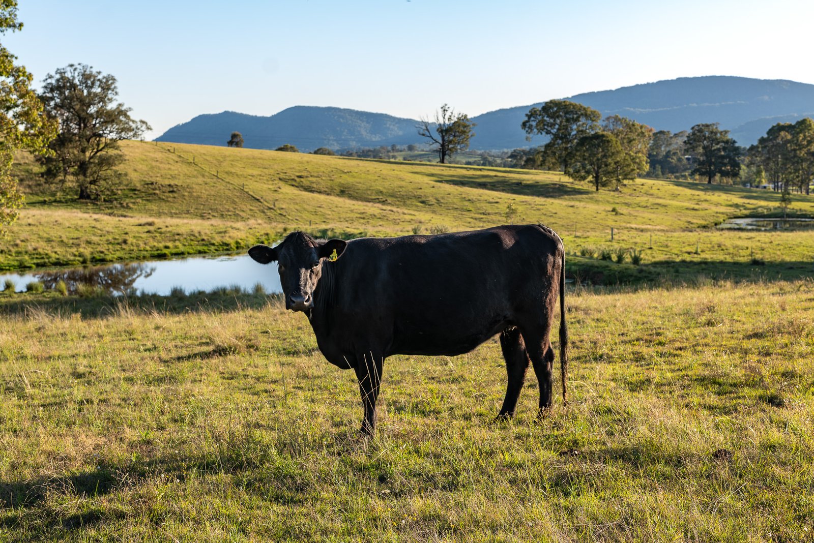 2654 Glendonbrook Road GRESFORD 8