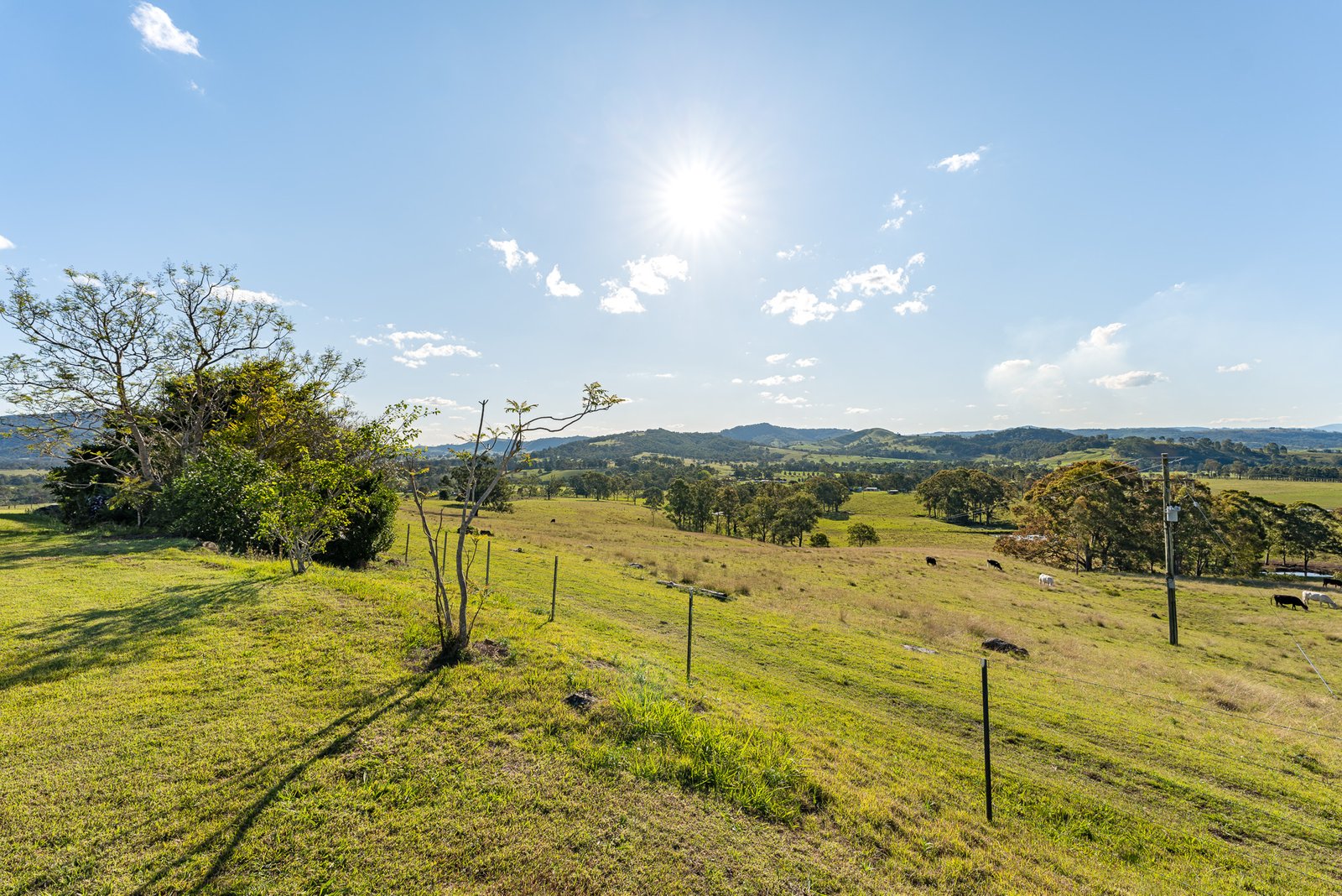 2654 Glendonbrook Road GRESFORD 34