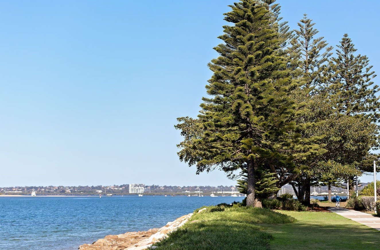 2/66-68 Kendall Street SANS SOUCI 8