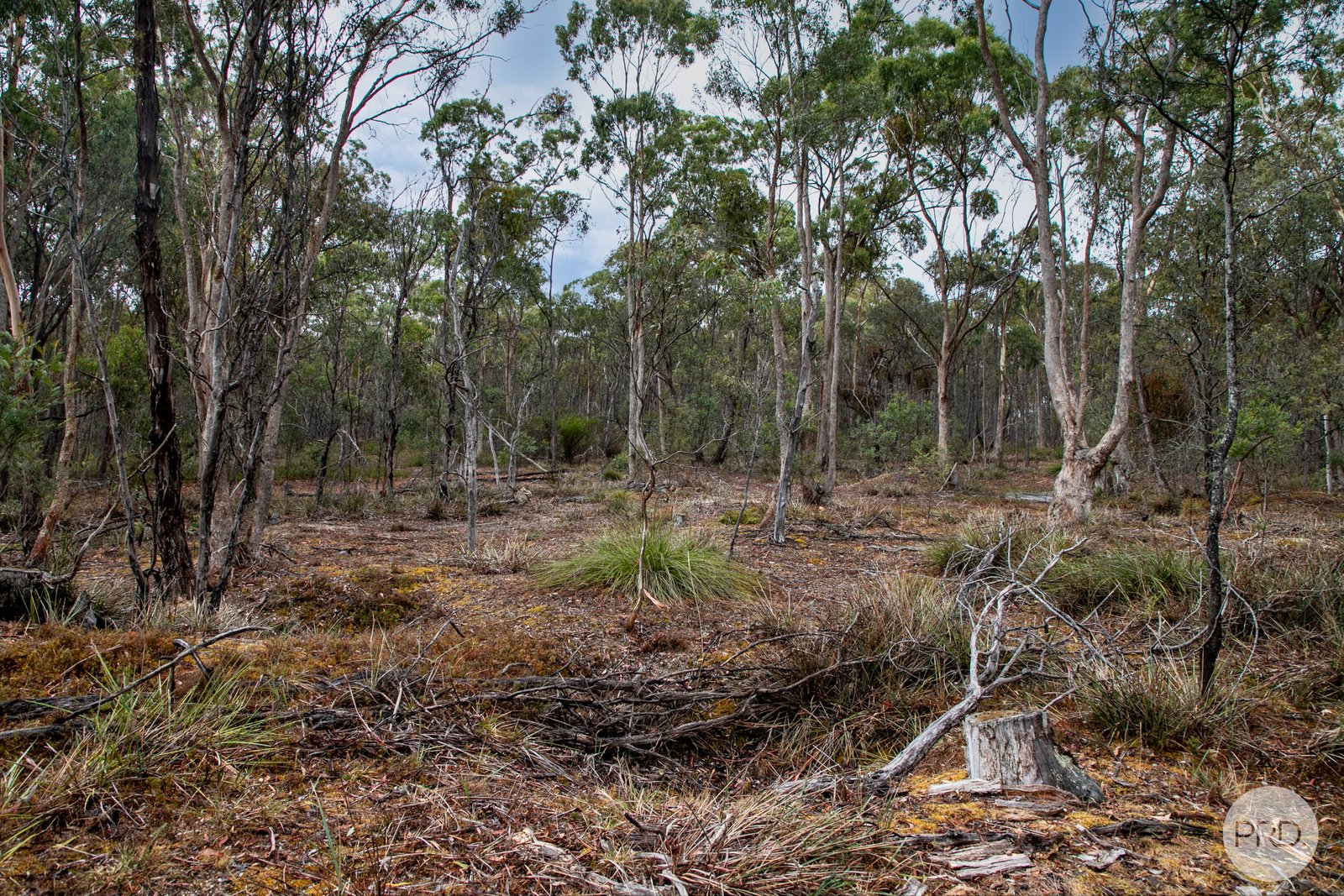 266 Donald McLeans Road BERRINGA 6