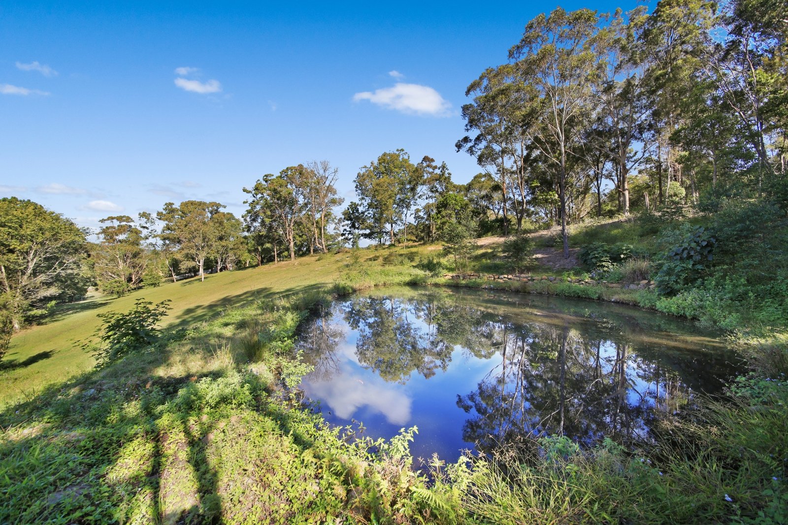 266 Tallebudgera Creek Road TALLEBUDGERA VALLEY 22