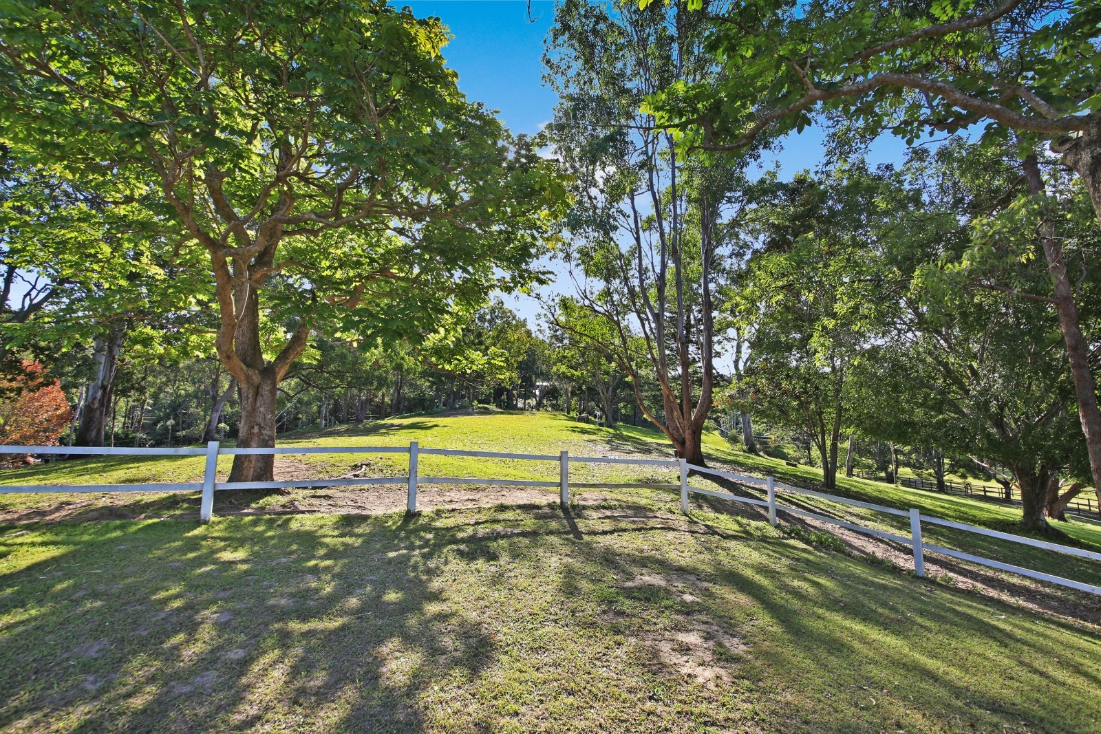 266 Tallebudgera Creek Road TALLEBUDGERA VALLEY 24