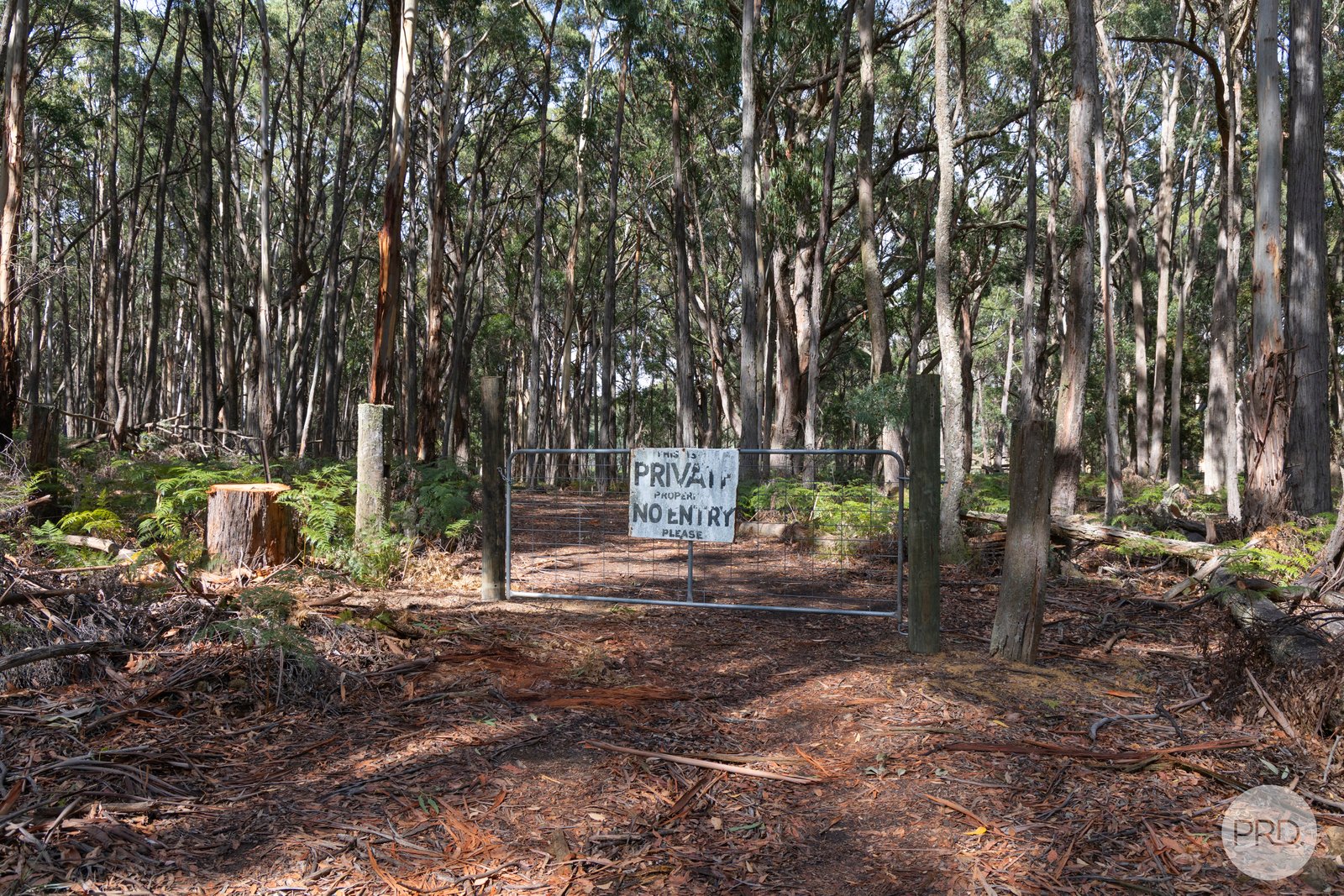 266 Treweeks Road BLAMPIED 2