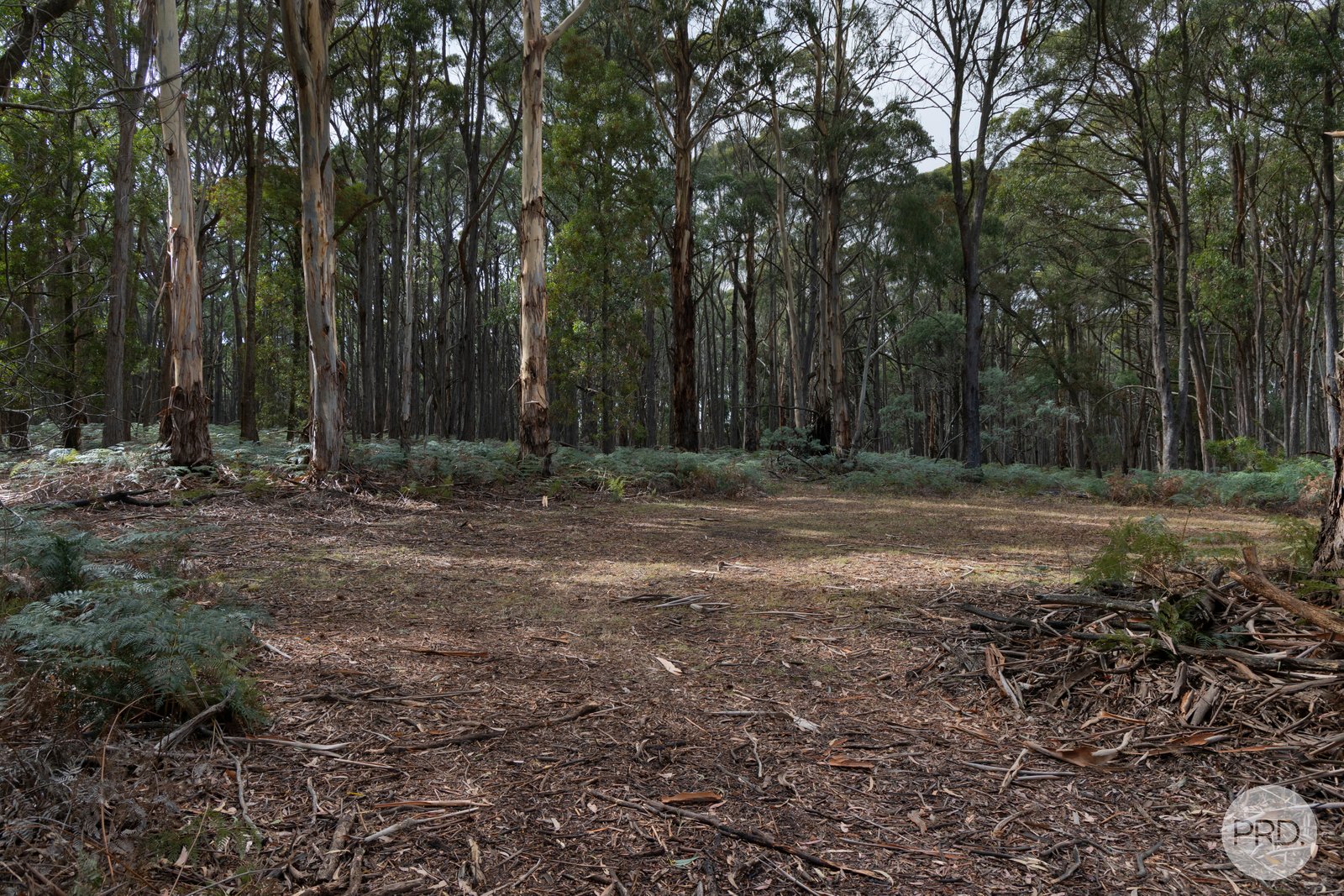 266 Treweeks Road BLAMPIED 3