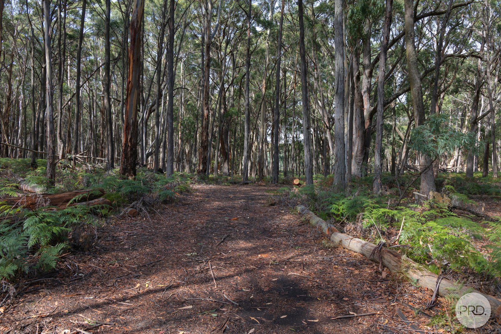 266 Treweeks Road BLAMPIED 4