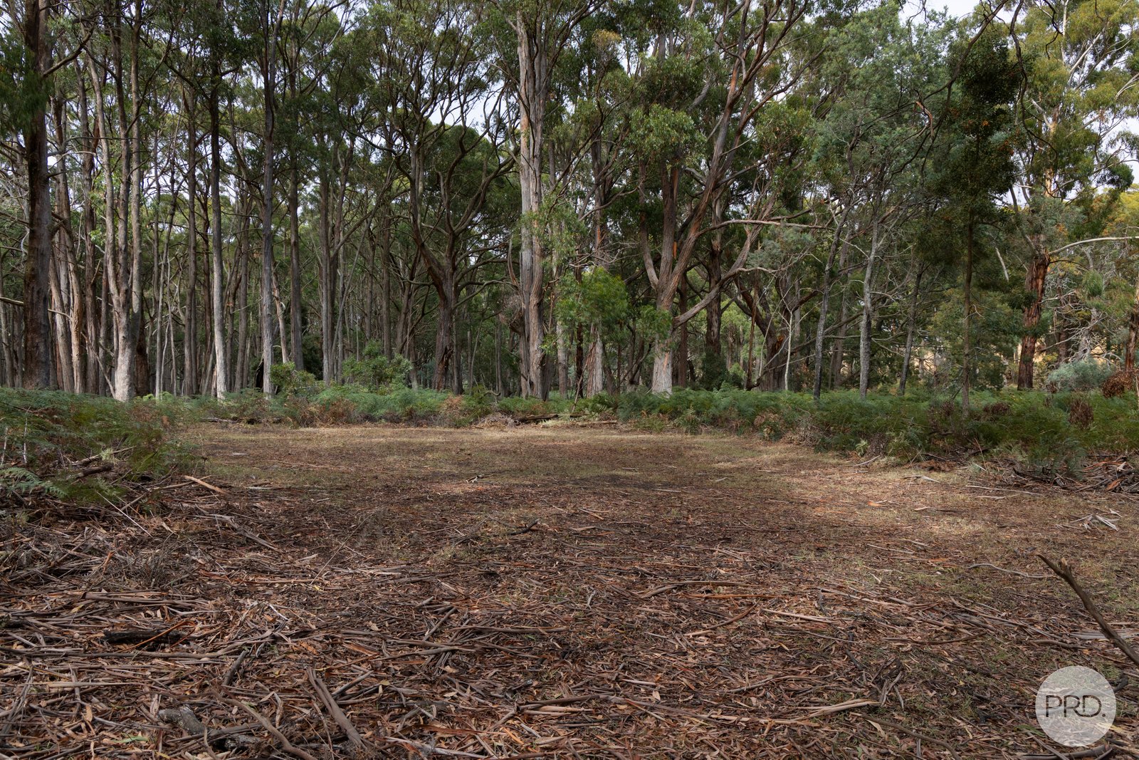 266 Treweeks Road BLAMPIED 5