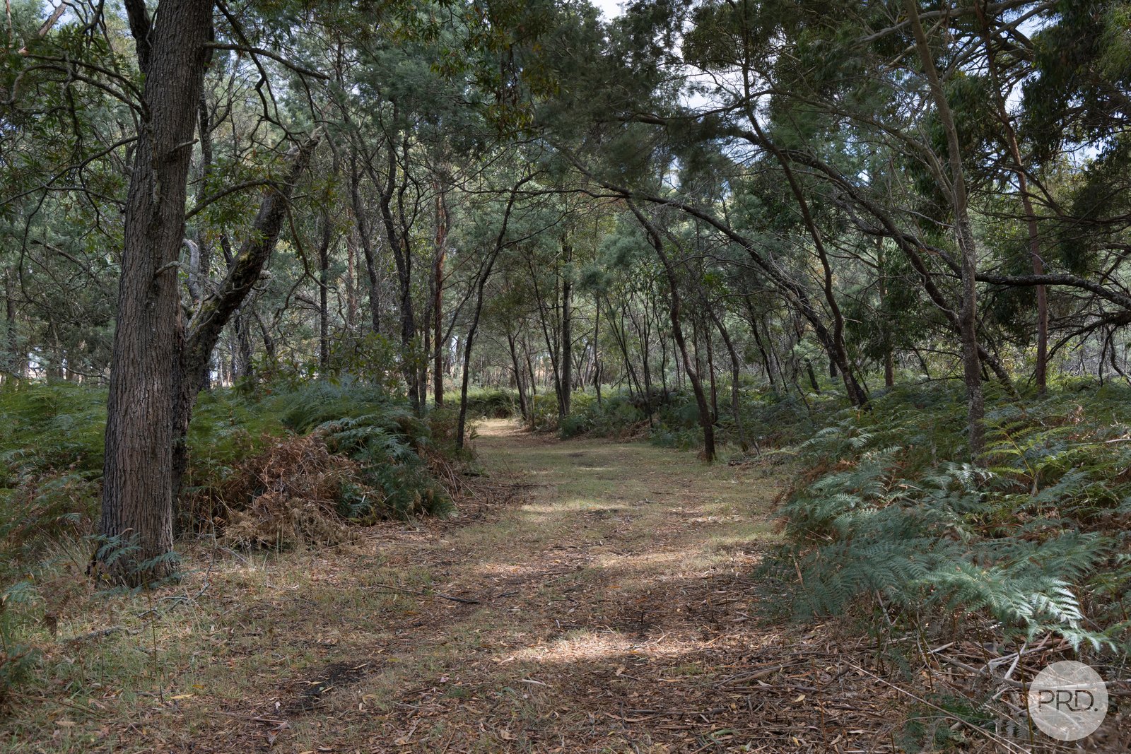 266 Treweeks Road BLAMPIED 6