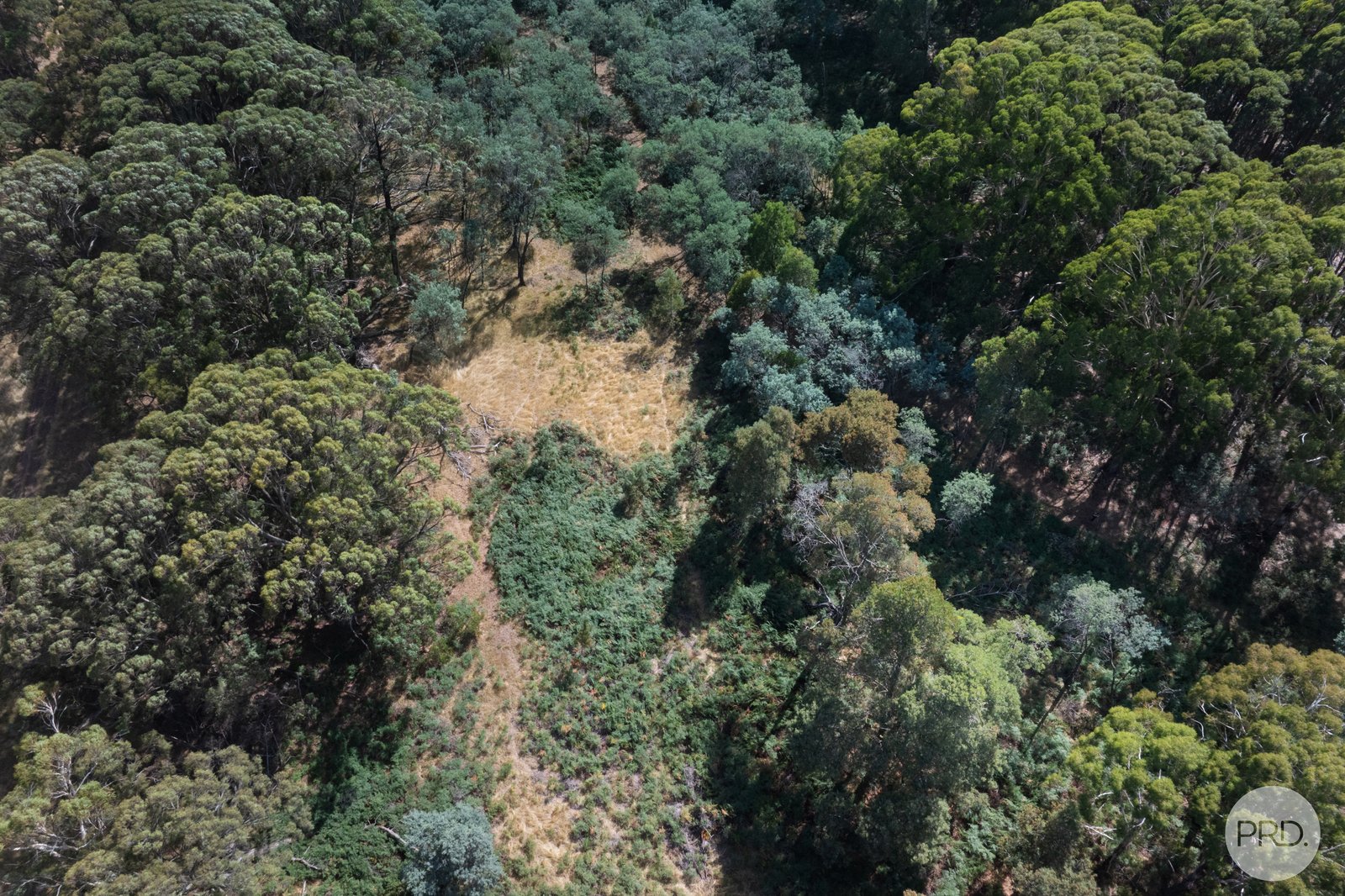 266 Treweeks Road BLAMPIED 7