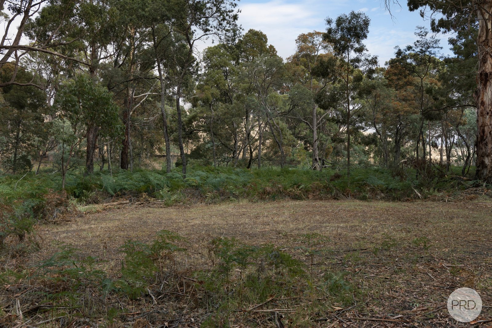 266 Treweeks Road BLAMPIED 8