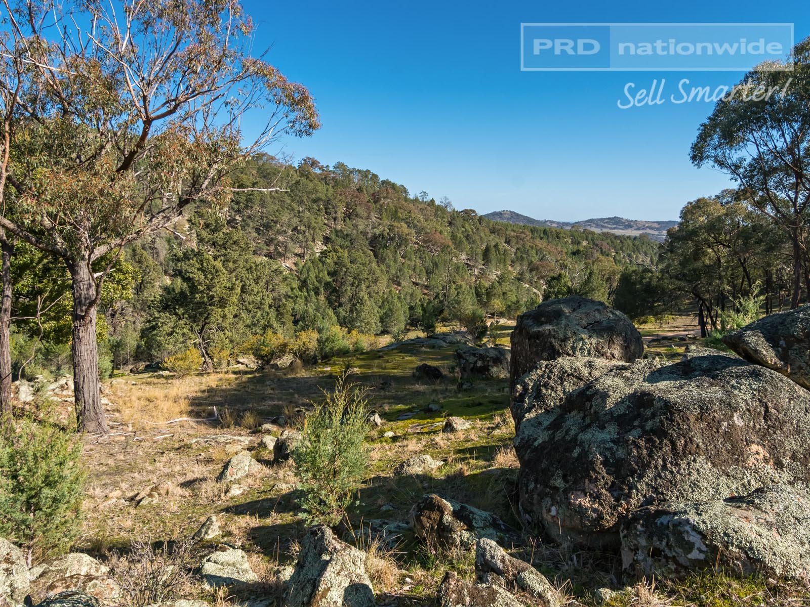 267 Ivydale Road WAGGA WAGGA 23