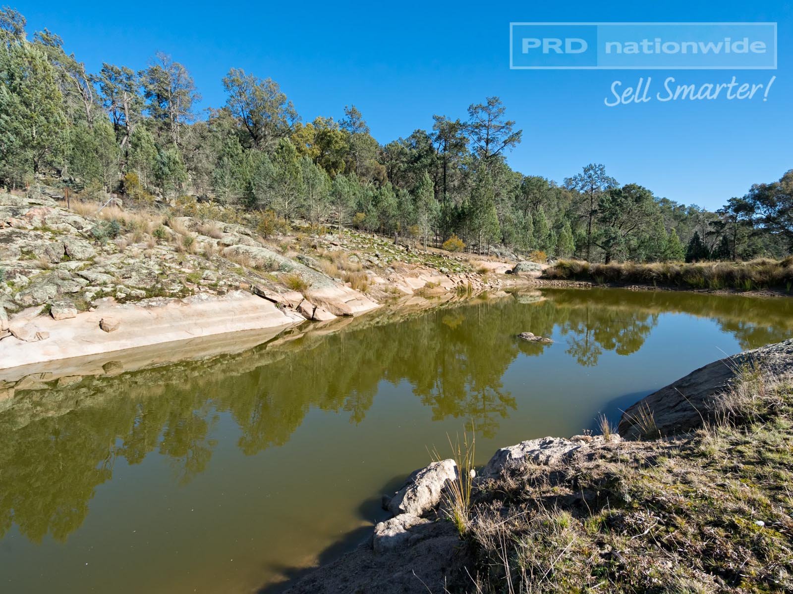 267 Ivydale Road WAGGA WAGGA 24