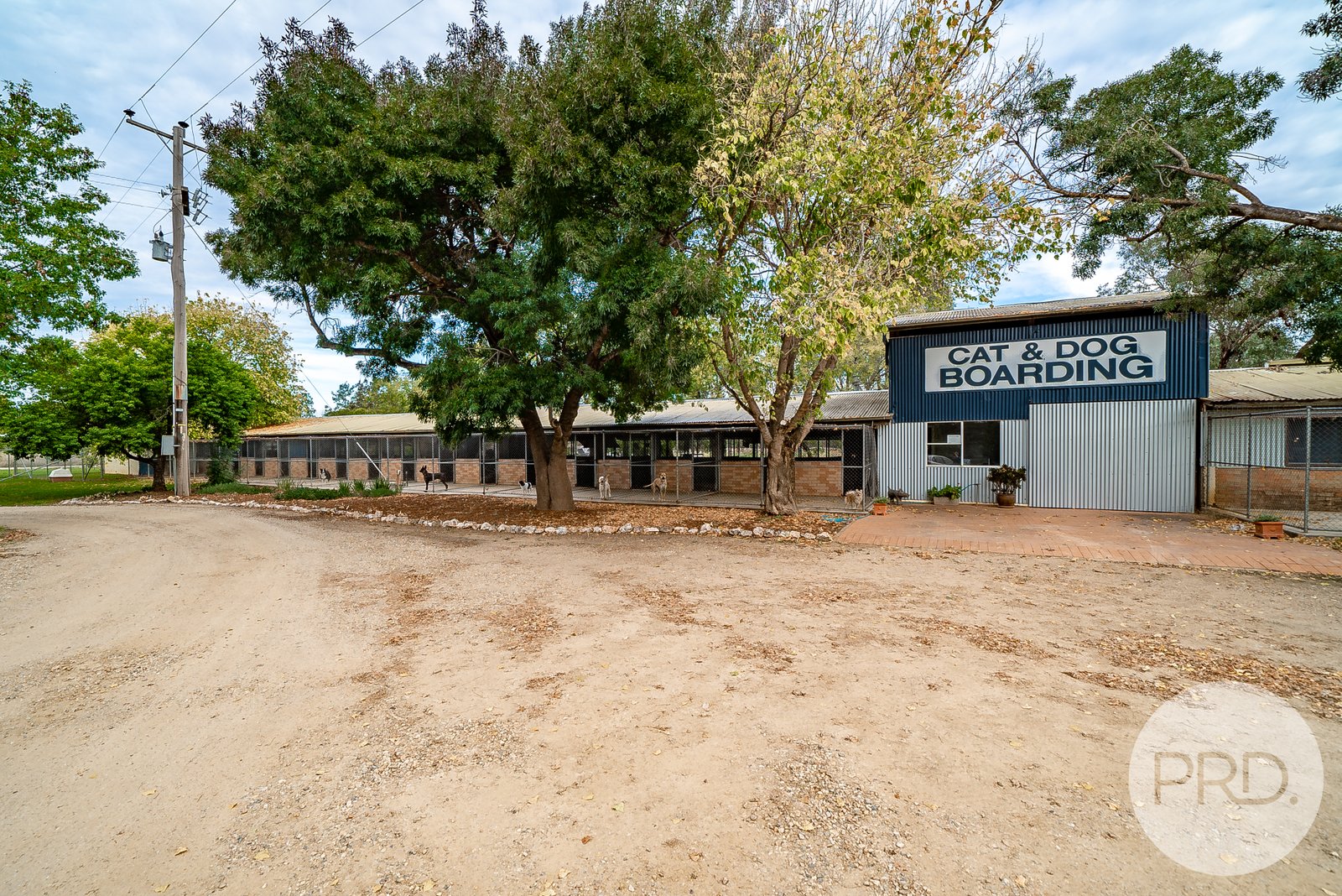 Riverina boarding kennels cheap